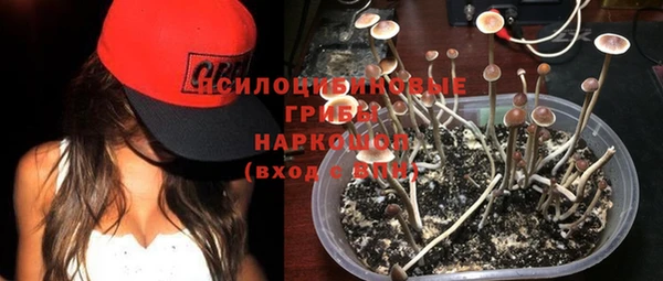 ECSTASY Осташков
