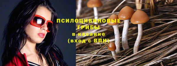 дурь Алексин